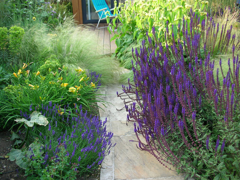 Day lilys, Salvia and Stipa tenuissima